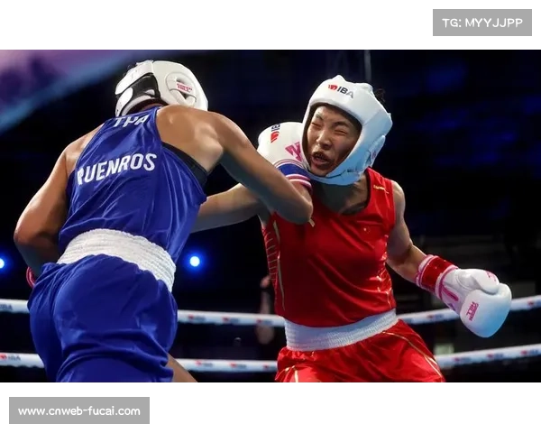 法国拳协质疑世界拳联推荐检测机构能力不足引发关注