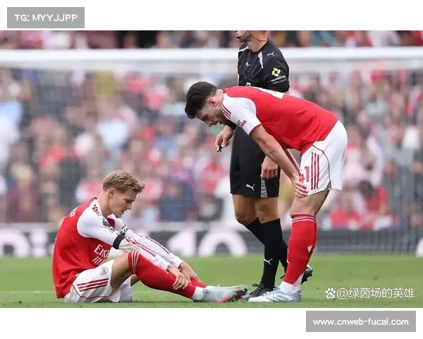 伤病潮重创阿森纳 厄德高萨利巴缺阵球队陷用人危机